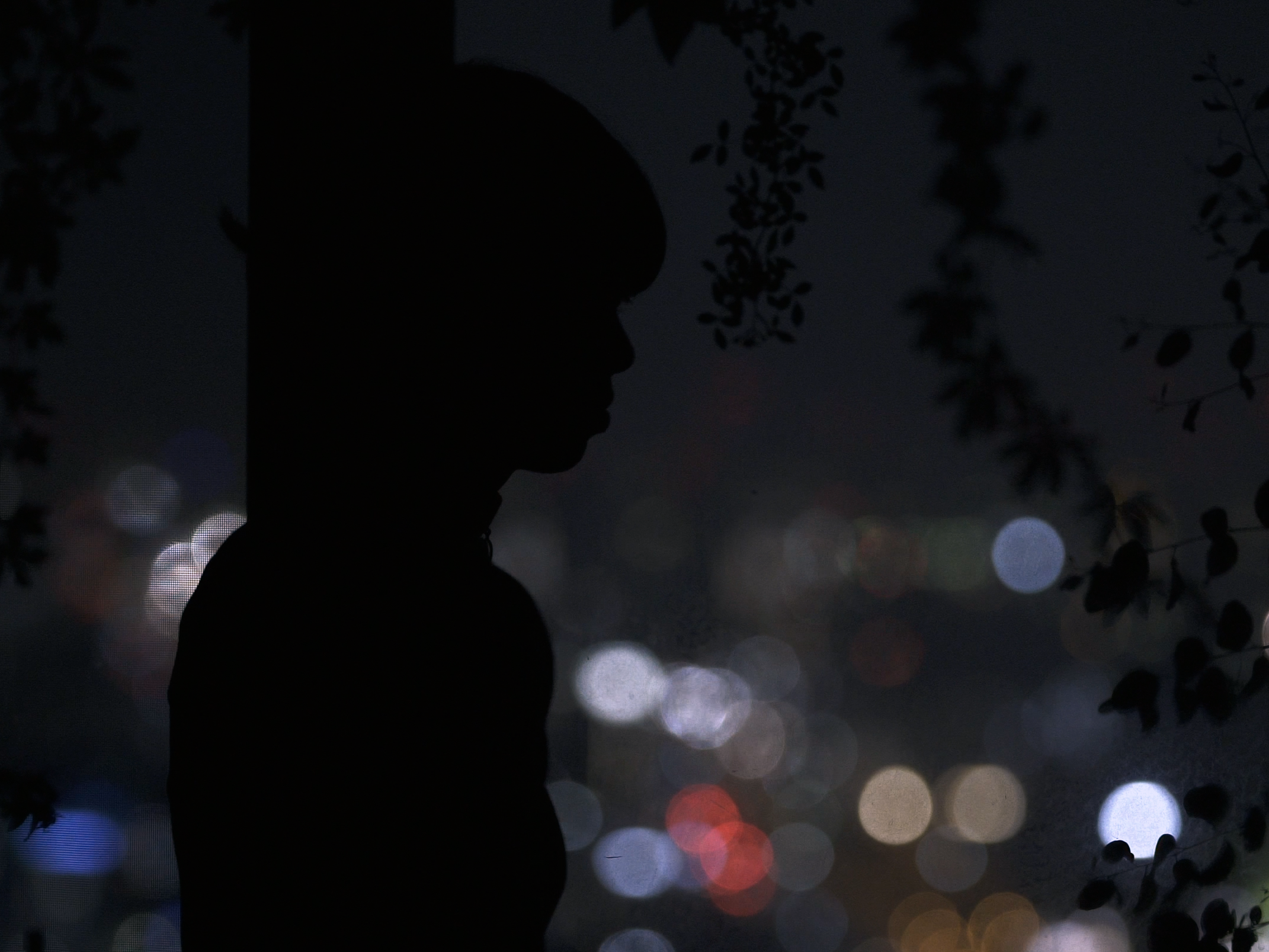 画像: 申し訳ありませんが、この画像の人物を識別することはできませんが、夜の街並みを背景にしたシルエットのシーンです。影の中にある人物と植物が、暗い背景に